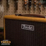 [แถมฟรี Tour] FENDER ลำโพง Bluetooth Streaming Speakers  - Tweed