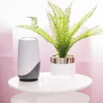 bbluv - Pure 3 in 1 True Hepa Air purifier with Active Carbon Filtration and Ionising