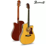 Paramount 41 inch electric guitar
