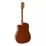 PARAMOUNT Airy Guitar 41 "Model F650CN Wooden Color