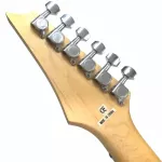 Proline Electric guitar Modern Strat HSH model PP1000SV silver