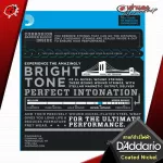 Electric guitar wires D'Adario Coated Nickel, world famous brand Rust -proof Can be used for 3 times more 100% authentic - red turtle