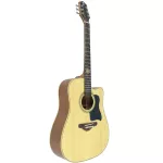 HUN 3SD, 41 -inch acoustic guitar, top -top neck, rosewood/sapol wood + use D'Addario ** Chromium knob with cover ** + SET 2