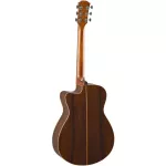 YAMAHA® AC5R, 40 -inch electric guitar, Concert Body Cutaway 20 Freck, Top Solid Sidaz Side and back of the rosewood