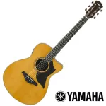 YAMAHA® AC5R, 40 -inch electric guitar, Concert Body Cutaway 20 Freck, Top Solid Sidaz Side and back of the rosewood