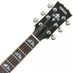 Yama ® SG1820 Electric guitar, 6 cables, 22 frets, maple/Mahogany Com, 5 layers, pickeys, rival uses, I.R.A.