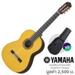 Yamaha® GC32S กีตาร์คลาสสิค 38 นิ้ว ทรง Yamaha CG Shape 19 เฟร็ต กีตาร์ทำมือ Handcrafted ไม้ท็อปโซลิดสปรูซยุโรป ไม้ข้า