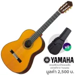 Yamaha® GC42C กีตาร์คลาสสิค 38 นิ้ว ทรง Yamaha CG Shape 19 เฟร็ต กีตาร์ทำมือ Handcrafted ไม้ท็อปโซลิดซีดาร์ ไม้ข้างและ