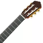 YAMAHA® GC42C, 38 -inch classic guitar, Yamaha CG Shape 19 Freck, handmade guitar, handcrafted, top solid wood, cedar, and