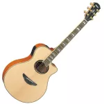 Yamaha® APX1000 Electric Guitar 40 inches APX SHAPE 22 FRET TOP SOL SLOS PROC Beside wood and after the maple frame + free