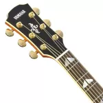 Yamaha® APX1000 Electric Guitar 40 inches APX SHAPE 22 FRET TOP SOL SLOS PROC Beside wood and after the maple frame + free