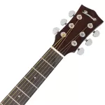 PARAMOUNT QAG501 41 -inch guitar, concave neck, Taylor style, top -tops, spruce/mahogany coated + free bag & tuner