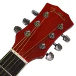 Fantasia Electric Guitar 40 "Some model EA12EN wood color