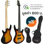 SQOE 5 guitar, Modern Jazz style SQ1305 + free guitar bags & guitar cables