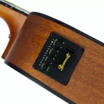 Paramount 38DJR-2, 38-inch electric guitar, Taylor shape, has a built-in strap / Mahokani + free bag & kapok & pick