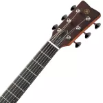 YAMAHA® FS5 40 inch guitar, Concert shape, whole body Using wood incubation with A.R.E. + free technology, free hard cases & diploma
