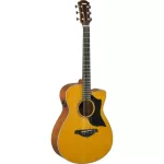 YAMAHA® AC5M 40 -inch electric guitar, Concert Body Cutaway 20 Freck, Top Solid Sidaz Side and back of the Seoul Mahogok