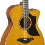 YAMAHA® AC5M 40 -inch electric guitar, Concert Body Cutaway 20 Freck, Top Solid Sidaz Side and back of the Seoul Mahogok