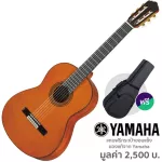 YAMAHA GC12C Classical guitar, standard size 4/4 All solid wood, American, Cedar/Seoul Mahogany + Free Case Star
