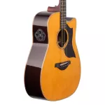 YAMAHA® A5R 41 -inch electric guitar, Dreadnough shape 20 Freck Top Silid Sidaz Side wood and back, Sol, Rose Wood + free
