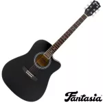 Fantasia Acoustic Guitar, 41 inch acoustic guitar, concave neck, coated model QAG411M ** new acoustic guitar **