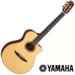 YAMAHA® NTX3 40 -inch electric guitar, APX Shape shape, 22 frets, pickups, ATMOSFEELs Side and back