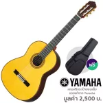 Yamaha® GC42S กีตาร์คลาสสิค 38 นิ้ว ทรง Yamaha CG Shape 19 เฟร็ต กีตาร์ทำมือ Handcrafted ไม้ท็อปโซลิดซีดาร์ ไม้ข้างและ
