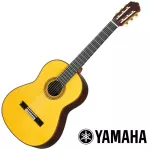 YAMAHA® GC42S, 38 -inch classic guitar, Yamaha CG Shape 19 Freck, Handcrafted handcrafted, top -side cedar, and