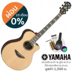 Yamaha® APX1200II 40 -inch electric guitar, APX Shape shape 22 Freat Top Slide Side and back, Sol, Rose Wood + Free