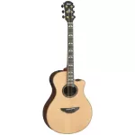 Yamaha® APX1200II 40 -inch electric guitar, APX Shape shape 22 Freat Top Slide Side and back, Sol, Rose Wood + Free