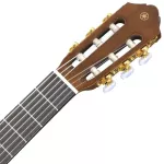 YAMAHA® Classic Size Size C70 + Free Yamaha Bag