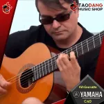 [Bangkok & Metropolitan Region Send Grab Quick] Classical guitar Yamaha C40 [Free gifts] [with Set Up & QC easy to play] [Insurance from zero] [100%authentic] [Free delivery] Turtle