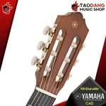 [Bangkok & Metropolitan Region Send Grab Quick] Classical guitar Yamaha C40 [Free gifts] [with Set Up & QC easy to play] [Insurance from zero] [100%authentic] [Free delivery] Turtle
