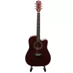 PASSION BPS41C 41 -inch guitar, Dreadnough shape, Linden Wooden Wooden Car
