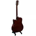 PASSION BPS41C 41 -inch guitar, Dreadnough shape, Linden Wooden Wooden Car