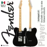 Fender® Player Tele MN electric guitar 22 Frete Alder, Alder, Maple wood collector ** Made in mexico / 1 year center insurance **