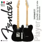 Fender® Player Tele MN กีตาร์ไฟฟ้า ทรง Tele 22 เฟรต ไม้อัลเดอร์ ซิงเกิ้ลคอยล์ คอไม้เมเปิ้ล ** Made in Mexico / ประกันศูนย์ 1 ปี **