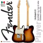 Fender® Player Tele MN กีตาร์ไฟฟ้า ทรง Tele 22 เฟรต ไม้อัลเดอร์ ซิงเกิ้ลคอยล์ คอไม้เมเปิ้ล ** Made in Mexico / ประกันศูนย์ 1 ปี **