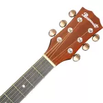 PARAMOUNT 41 inch electric guitar 41 inches, Top Sol, F750CEQN + Free Guitar & Capcid Solid Sprustic Electric GUI