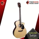 [Bangkok & Metropolitan Region Send Grab Quick] Electric guitar SAGA SF700GE, SF700GCE [Free free gift] [with SET Up & QC easy to play] [Insurance from the center] [100%authentic] [Free delivery] Red turtle