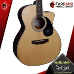 [Bangkok & Metropolitan Region Send Grab Quick] Electric guitar SAGA SF700GE, SF700GCE [Free free gift] [with SET Up & QC easy to play] [Insurance from the center] [100%authentic] [Free delivery] Red turtle