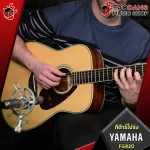 YAMAHA FG820 Acoustic Guitar, Airy Guitar, FG820 + Standard Guitar Bag Standard Guitar Bag