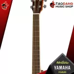 YAMAHA FG820 Acoustic Guitar, Airy Guitar, FG820 + Standard Guitar Bag Standard Guitar Bag