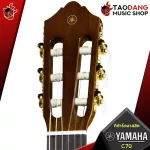 [Bangkok & Metropolitan Lady to send Grab Quick] Classical guitar yamaha C70 [free gift] [with Set Up & QC easy to play] [Insurance from zero] [100%authentic] [Free delivery] Turtle