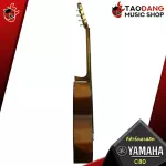 Yamaha C80 Classical Guitar, Classical Guitar, C80 + Standard Guitar Bag, Standard guitar bag