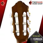 Yamaha C80 Classical Guitar, Classical Guitar, C80 + Standard Guitar Bag, Standard guitar bag