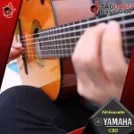 Yamaha C80 Classical Guitar, Classical Guitar, C80 + Standard Guitar Bag, Standard guitar bag
