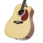 Clevan DC20E 41 -inch electric guitar, spruce/Mahogany, Nubone, using the guitar line D'Addario 4 bands with