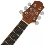 Clevan DC20E 41 -inch electric guitar, spruce/Mahogany, Nubone, using the guitar line D'Addario 4 bands with