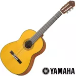 YAMAHA® CG142S Classical guitar 4/4 Solfruit, Angle Man Sprus/NATO ENGELMANN SPRUCE TOP CLASSICAL GUITA